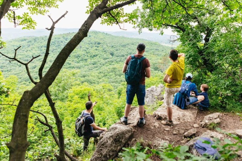 Budapest: Buda Hills Guided Hiking Tour with Optional Lunch - The Practical Details
