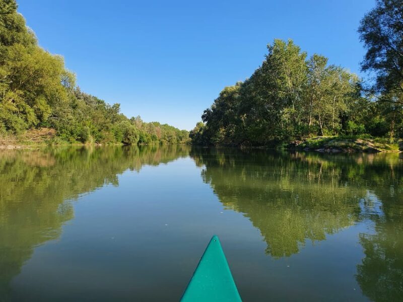 Budapest: Canoeing the Danube w or wo Sauna or Danube Beach - Real Guest Perspectives