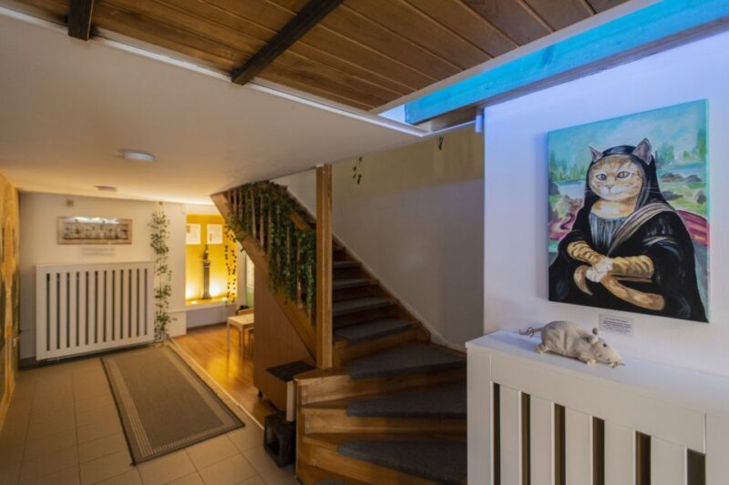 Budapest: Cat Museum Budapest Entry Ticket - Key Points