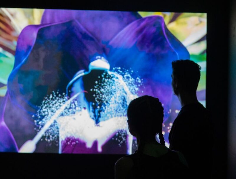 Budapest: Cinema Mystica Entry Ticket - The Experience Itself: A Room-by-Room Breakdown