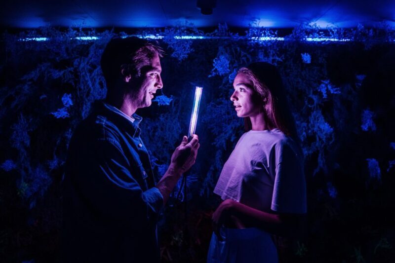 Budapest: Ikono Budapest Entry Ticket - Who is this Experience Best Suited For?