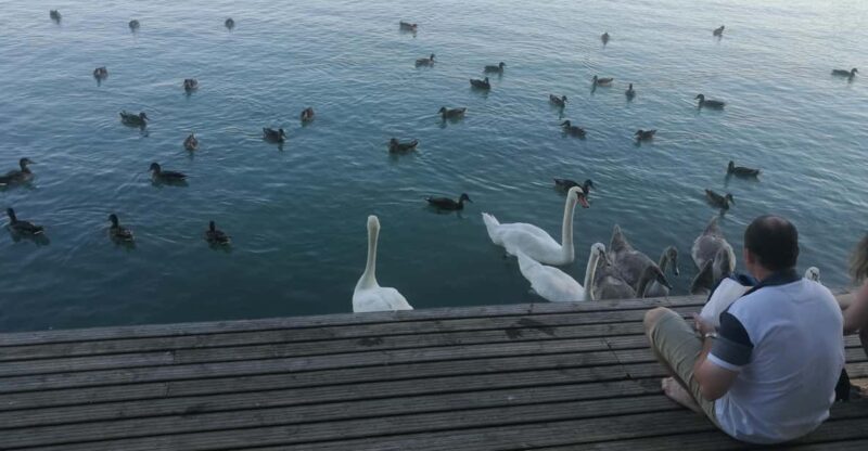 Budapest: Lake Balaton & Herend Porcelain Private Day Tour - The Itinerary Breakdown: What You Can Expect