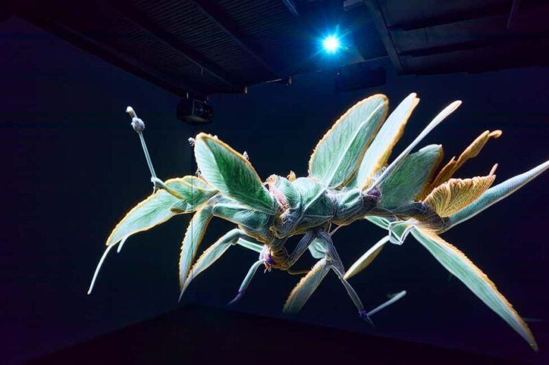 Budapest: Light Art Museum Skip-the-Line Entry Ticket - FAQ