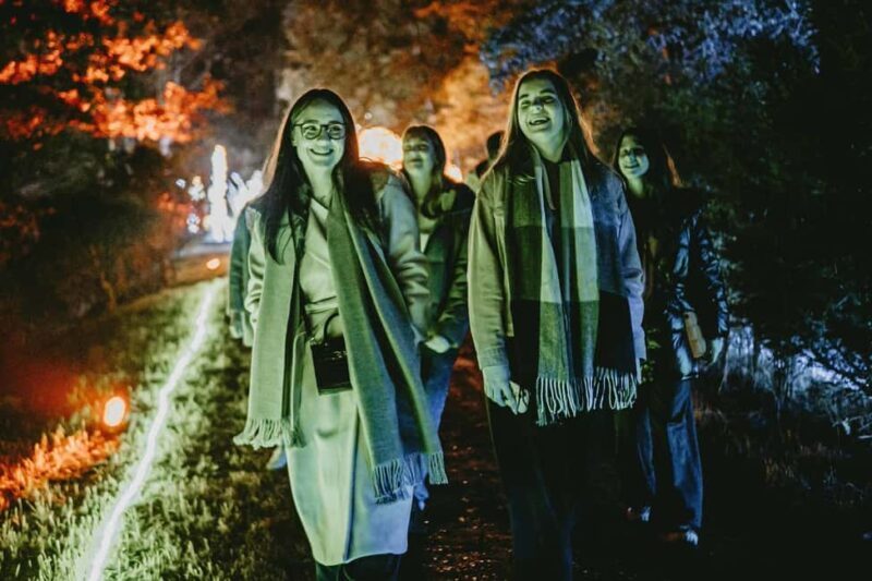 Budapest: Lumina Light Park Wonderworld Entry Ticket - What Some Visitors Love Most