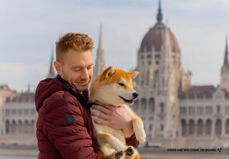 Budapest: Night Lights Cruise - Key Points