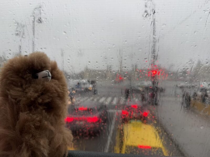 Budapest: Private 4-Hour City Tour by Car - An In-Depth Look at the Budapest Private Car Tour