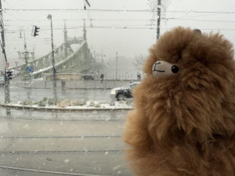 Budapest: Private 4-Hour City Tour by Car - Frequently Asked Questions