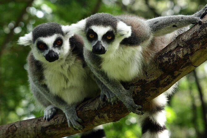 Budapest Private Full Day City Tour with a comfortable air -conditioned car - Key Points