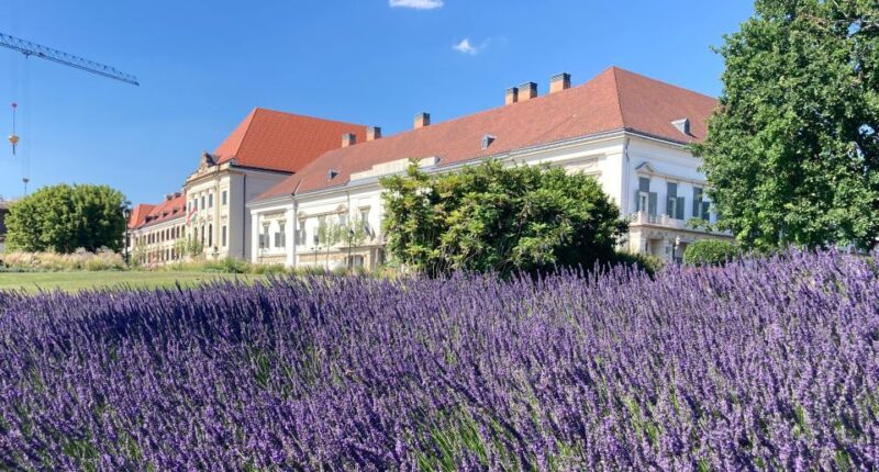 Budapest: private sightseeing tour by public transportation - Final Thoughts