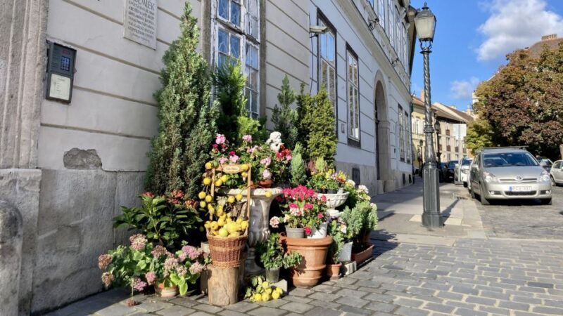 Budapest: private sightseeing tour by public transportation - FAQ