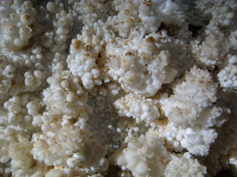 Budapest: Seml-hegyi & Pál-völgyi Caves Guided Walking Tour - Key Points