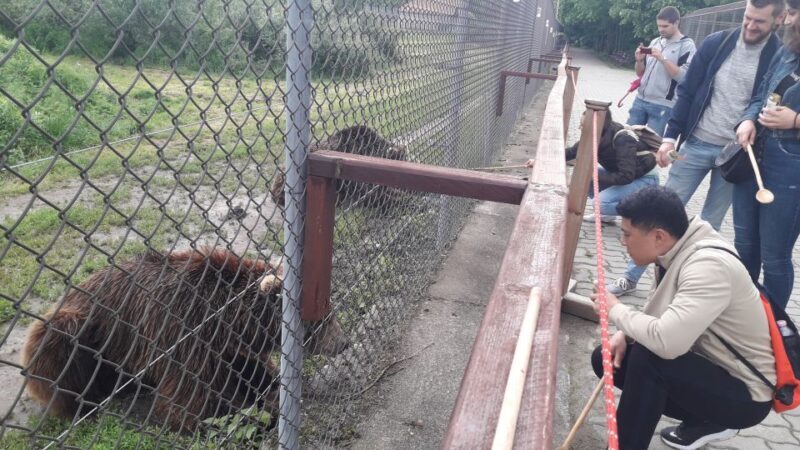 Budapest: Transport & Guided Tour of Bear and Wolf Sanctuary - What to Expect from the Tour