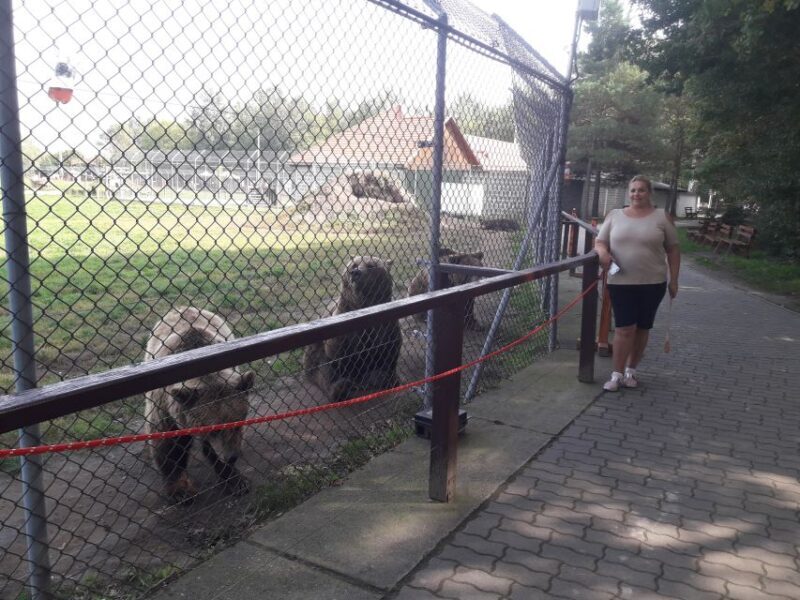 Budapest: Transport & Guided Tour of Bear and Wolf Sanctuary - FAQ