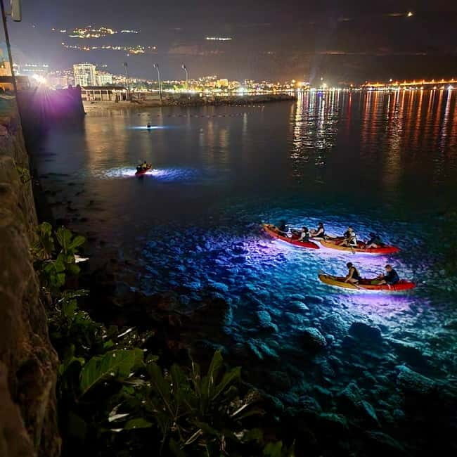 Budva: 2-Hour «Night Lights» Kayak Tour - An Honest Look at the 2-Hour Night Lights Kayak Tour