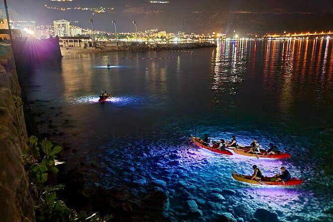 Budva: 2-Hour «Night Lights» Kayak Tour - The Sum Up: Is the Night Lights Kayak Tour Worth It?