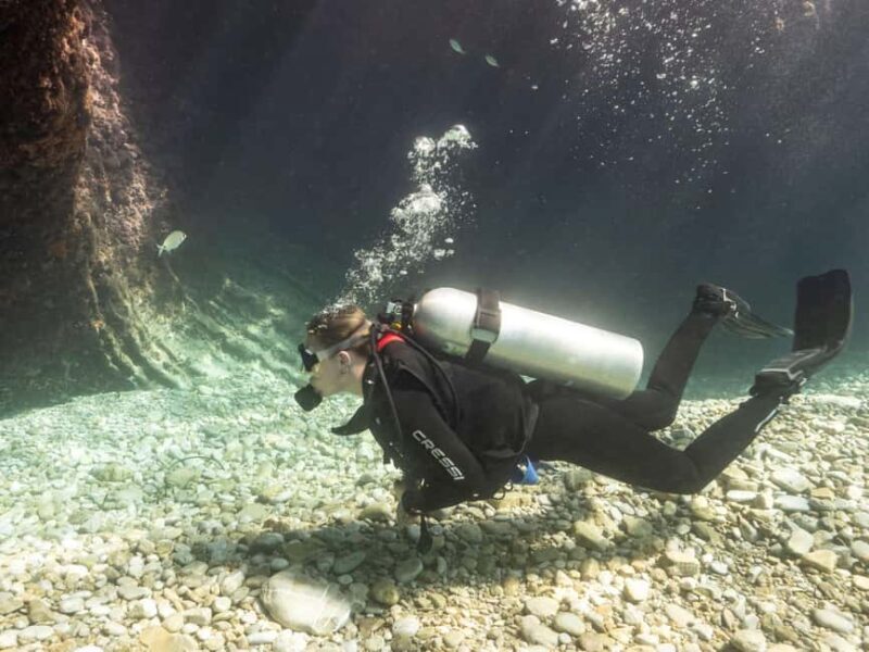 Budva: Scuba Double Dive Boat Trip for Certified Divers - Who Should Consider This Tour