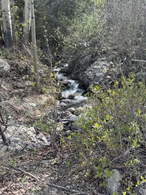 Buena Vista: 3 Hour E-Bike Tour to St. Elmo Ghost Town - FAQ