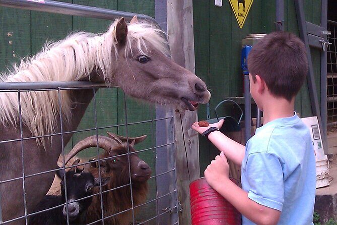 Buffalo Creek Ranch Tour Experience - Final Thoughts