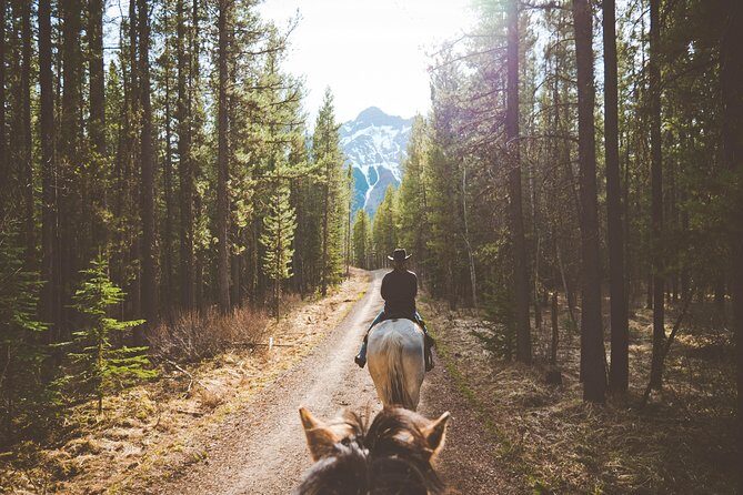 Buffalo Loop 1-Hour Horseback Trail Ride in Kananaskis - An In-Depth Look at the Buffalo Loop Horseback Ride