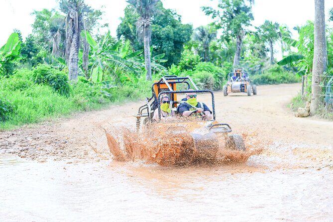 Buggy Adventure Punta Cana - Who Will Love This Tour?