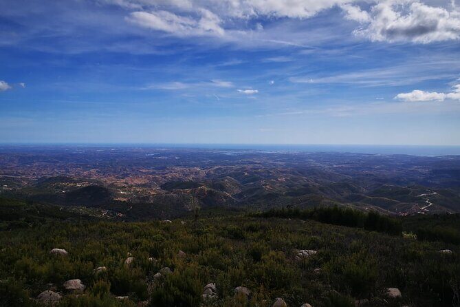 Buggy dirt and splash tour off/on road - Pricing and Value