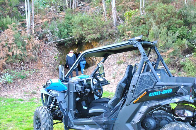 Buggy Experience at Arouca Geopark - The Downside and Considerations