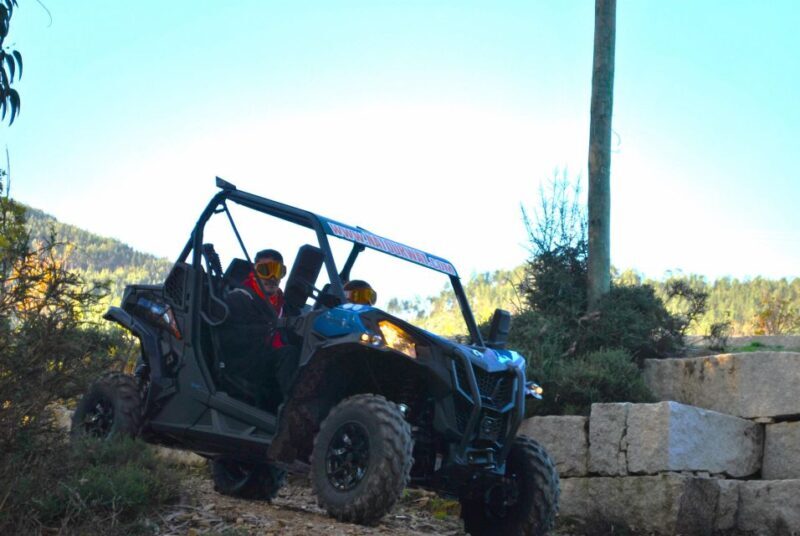 Buggy Experiences - FAQs