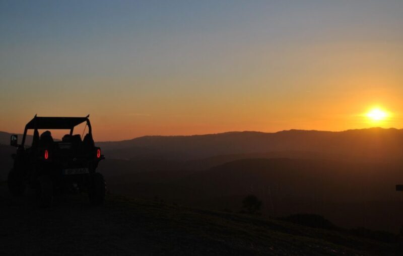 Buggy Experiences - Final Thoughts