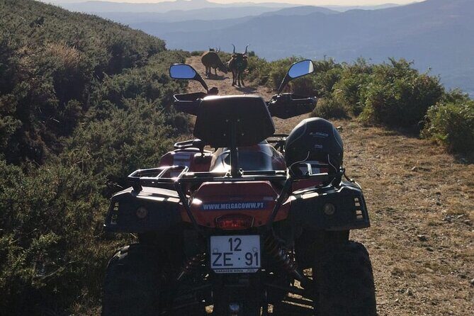 Buggy or Moto4 tour through Melgaço - The Sum Up