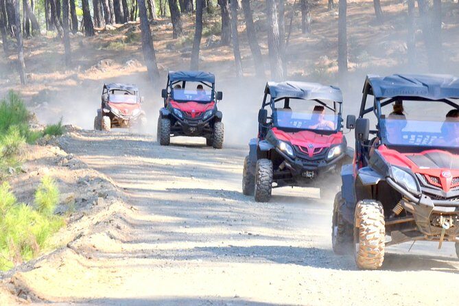 Buggy Safari for 2 people - An In-Depth Look at the Buggy Safari Experience