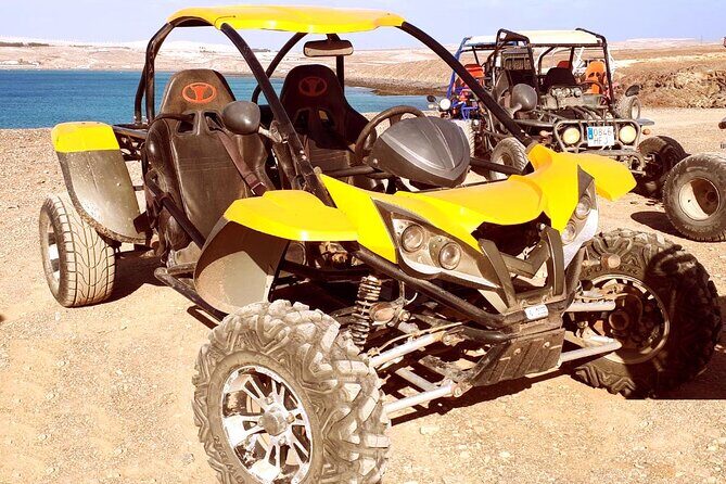 Buggy Safari In Costa Calma - The Sum Up