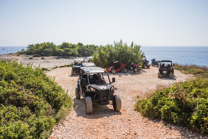 Buggy Safari With Wine Tasting - What to Expect from the Korcula Buggy Safari