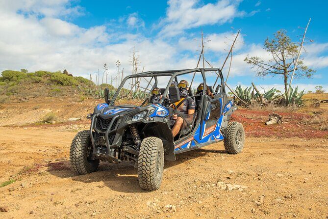 Buggy tour at Anfi beach - Who Should Consider This Tour?