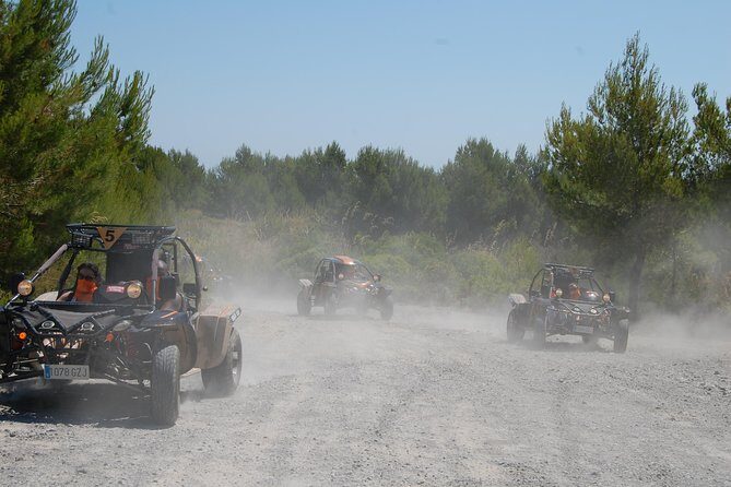 Buggy tour: East area of Mallorca - What to Expect from the Mallorca East Buggy Tour