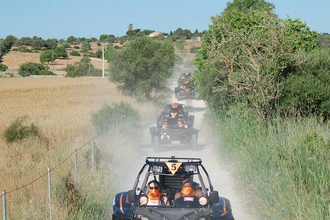 Buggy tour: East area of Mallorca - Price and Value