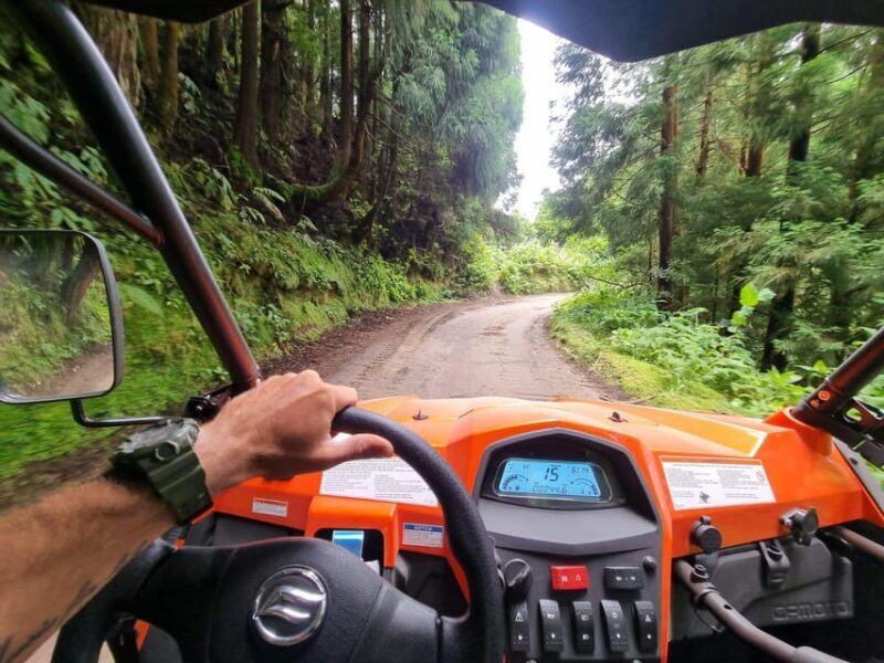 Buggy Tour Sete Cidades (Half Day) - Final Thoughts