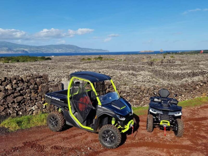 Buggy tour through the vineyards of Pico Island - What You Can Expect from the Tour