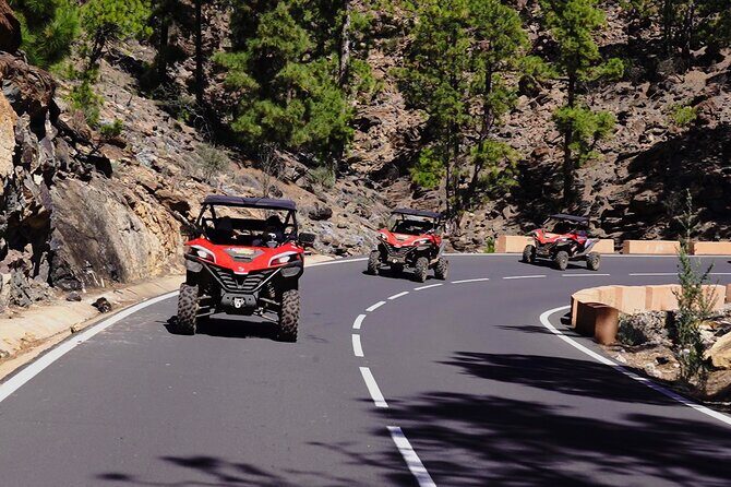 Buggy tour to Teide in Tenerife - Who Should Consider This Tour?