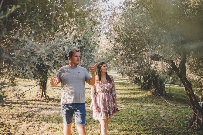 Buje: Authentic Istrian family farm, guided walk, foods & wine - The Itinerary: What to Expect