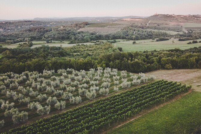 Buje: Authentic Istrian family farm, guided walk, foods & wine - FAQ