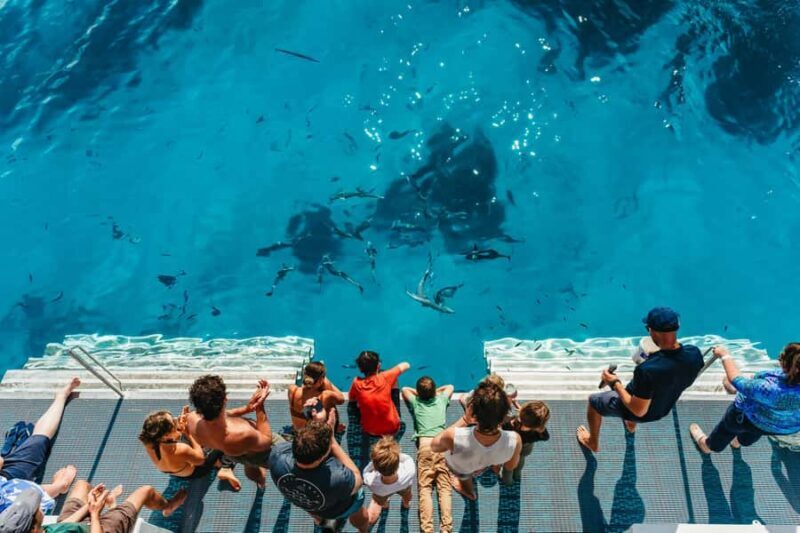 Bundaberg: Lady Musgrave Island and Great Barrier Reef Tour - Frequently Asked Questions