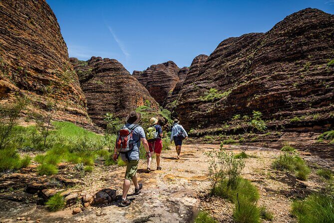 Bungle Bungle Flight & Domes To Cathedral Gorge Walking Tour - Exploring the Bungle Bungle Flight & Cathedral Gorge Walking Tour: A Detailed Look