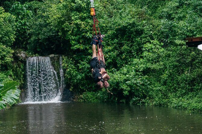 Bungy Jump Experience at Skypark Cairns by AJ Hackett - The Booking and Pricing