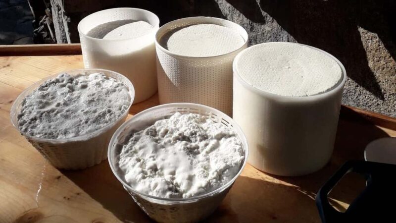 Burgos: Sardinian pecorino cheese workshop - Key Points