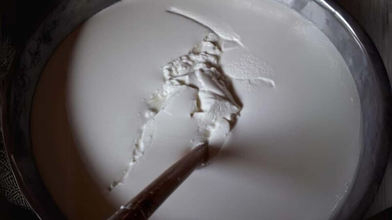 Burgos: Sardinian pecorino cheese workshop - What to Expect from the Sardinian Pecorino Cheese Workshop