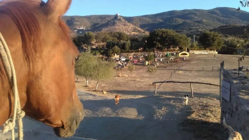 Burgos: visit to a farm with tasting - Key Points