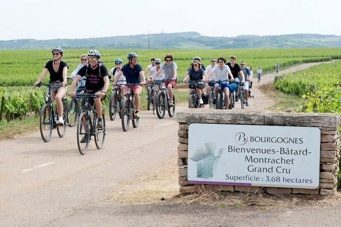 Burgundy Bike Tour with Wine Tasting from Beaune - Final Thoughts