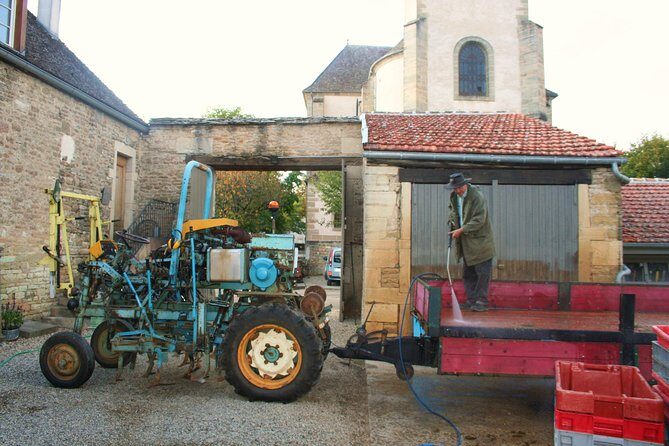 Burgundy Bike Tour with Wine Tasting from Beaune - The Real Drawbacks (Yes, There Are Some)