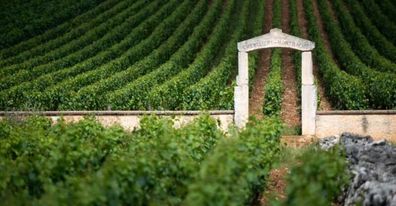 Burgundy Vineyards: Luxury Private Tours - Key Points
