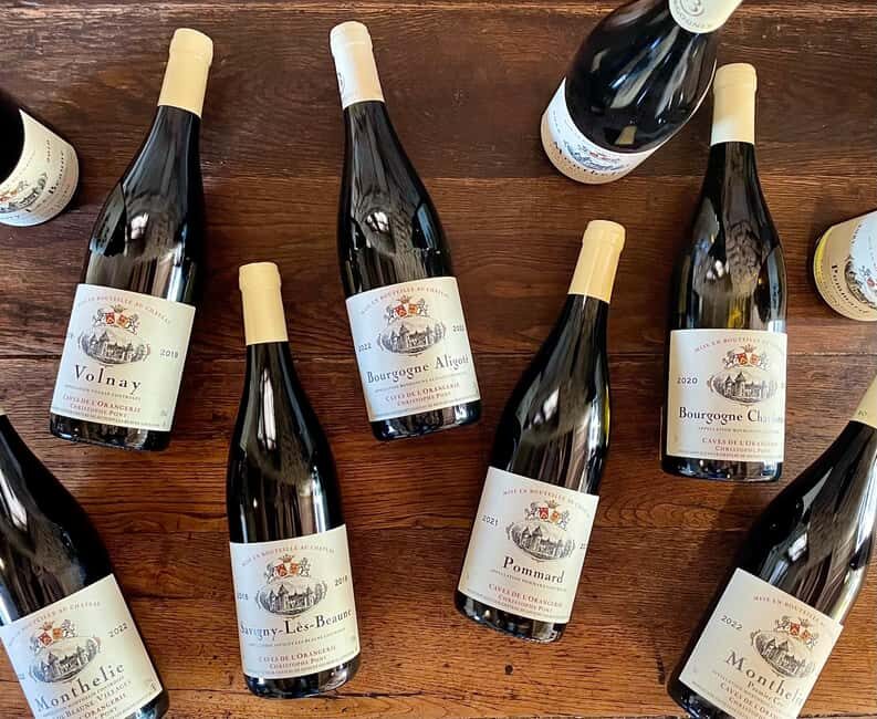 Burgundy wine tasting at Château de Savigny-lès-Beaune - Key Points